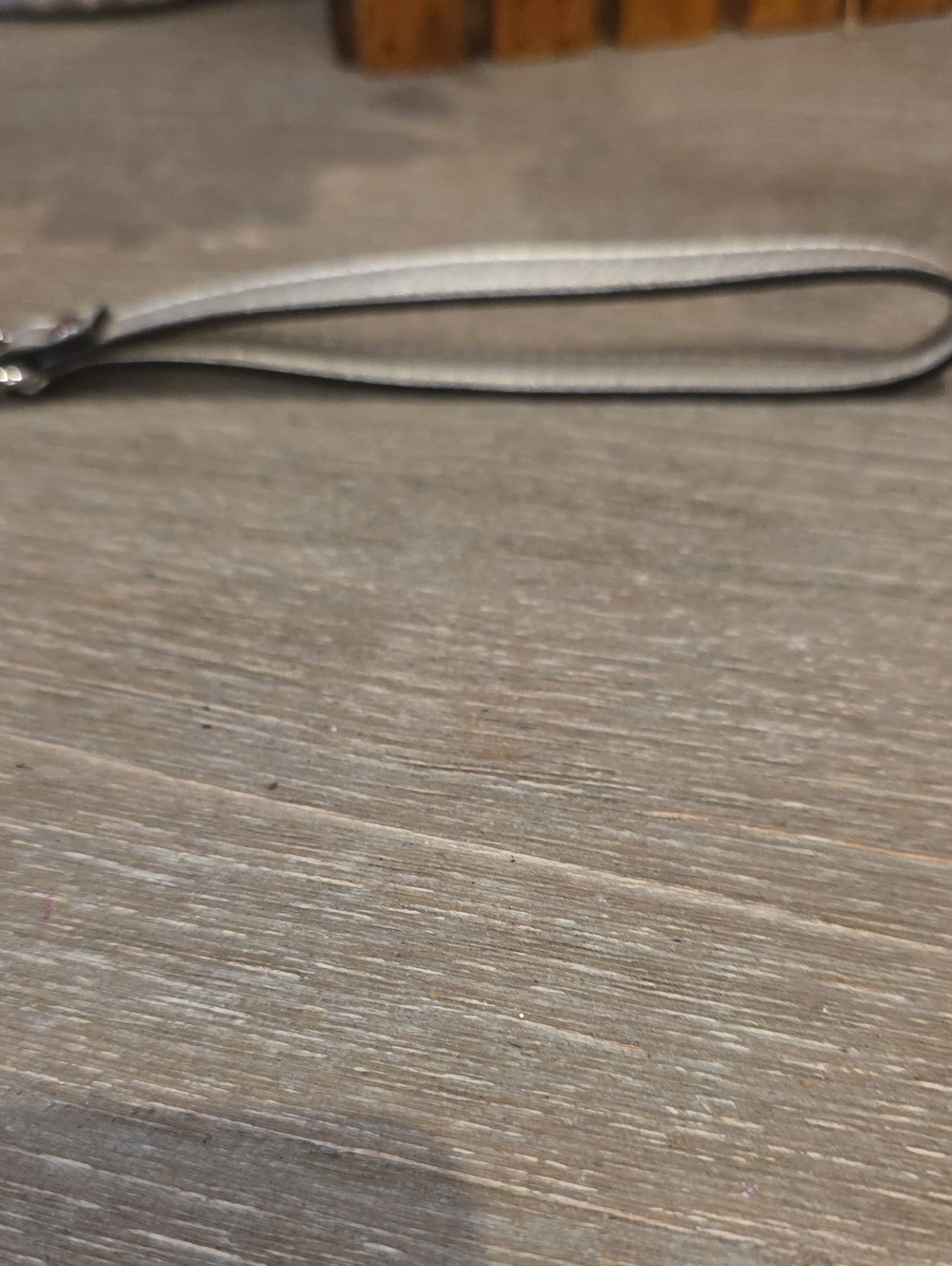 Coach Y2K Metallic Silver Mini Hangtag And Strap Like New - Picture 3 of 5